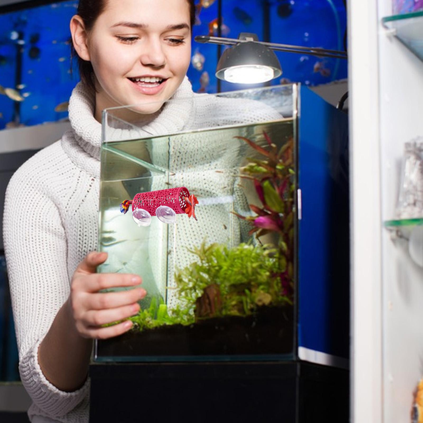 Aquarium Mini Fish - Habitat para Bettas, Refugio, Adorno, Túnel