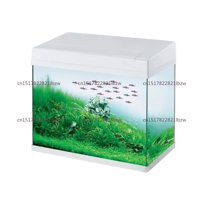 Aquarium Mini Fish - Acuario de Vidrio, Mini Pecera para