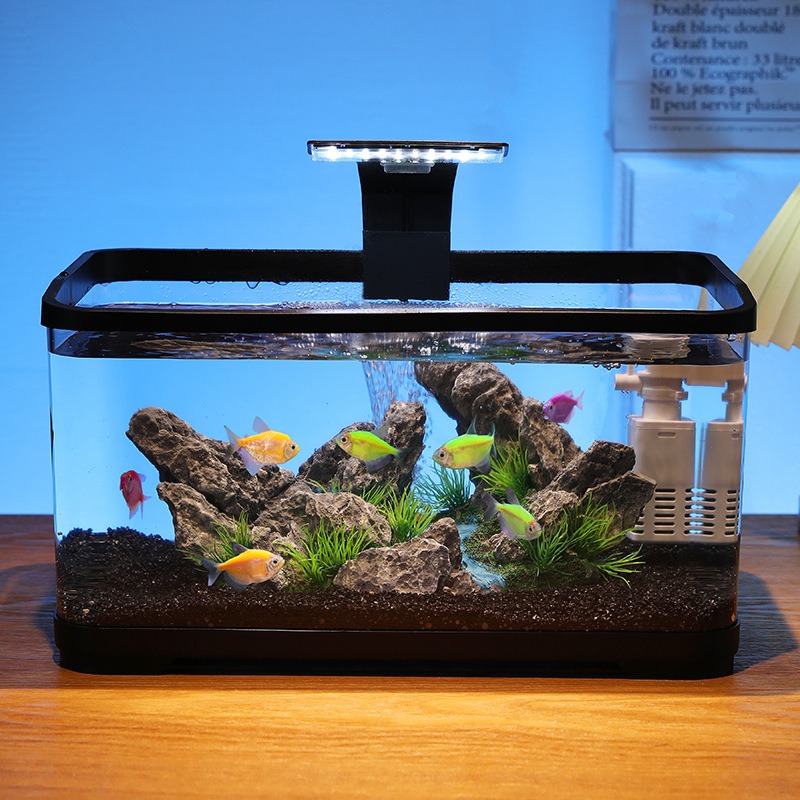 Fish Aquarium Home - Acuario de sobremesa con filtro de
