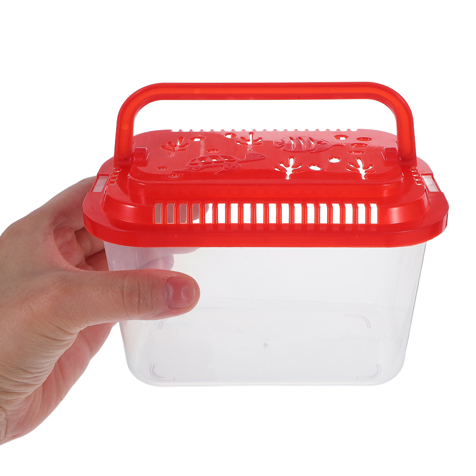 Aquarium Mini Fish - Contenedor de Transporte de Peces, 5