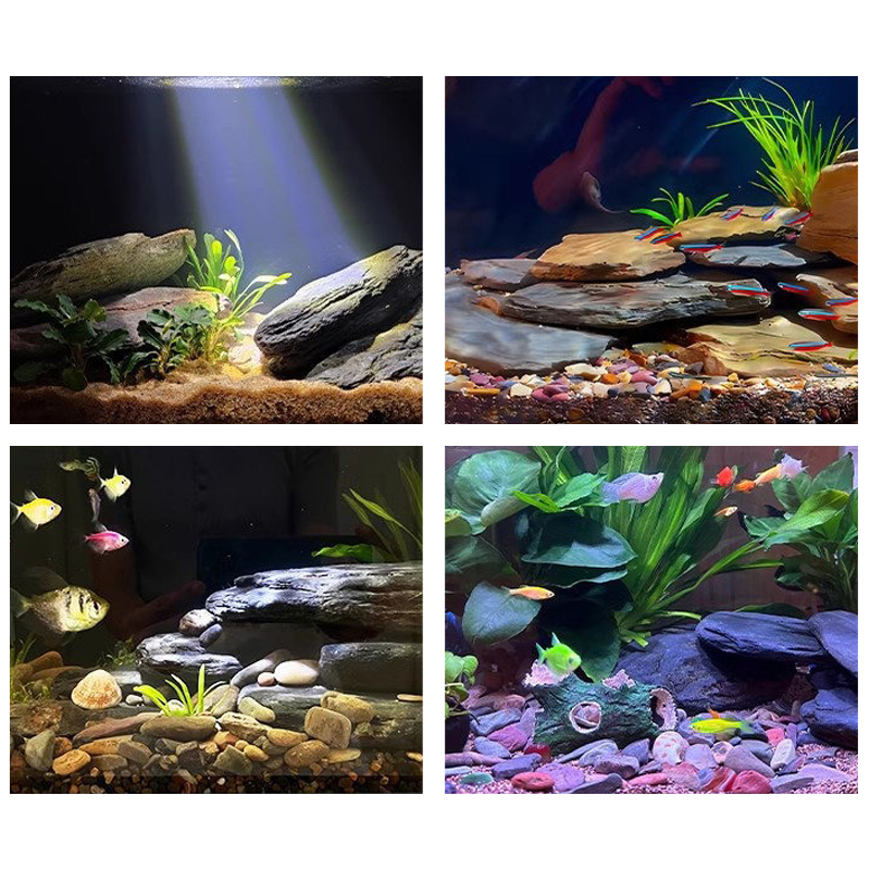 Kit de piedras para paisajismo - Fish Aquarium Home reseña y precio