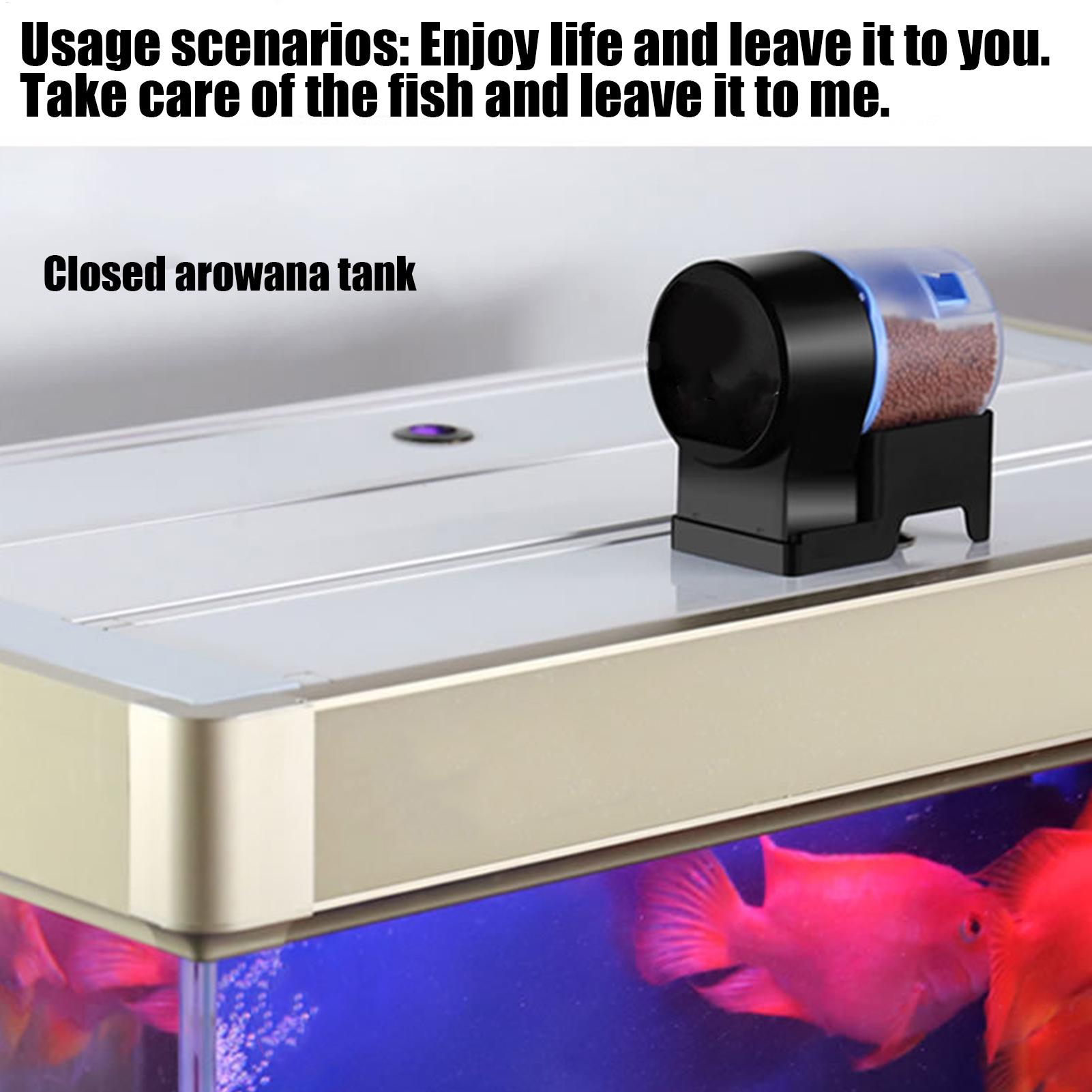Alimentador automático de pece - Aquarium Fish Auto Feeder reseña y precio