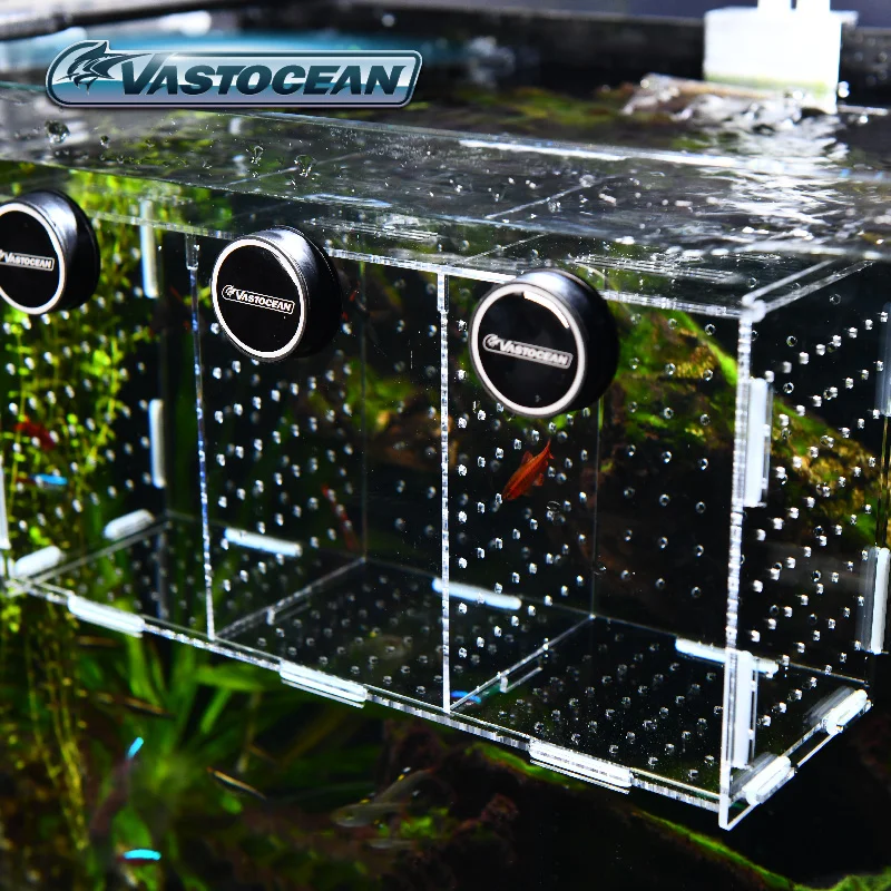 Vastapean-caja de aislamiento  - Aquarium Fish Cave reseña y precio
