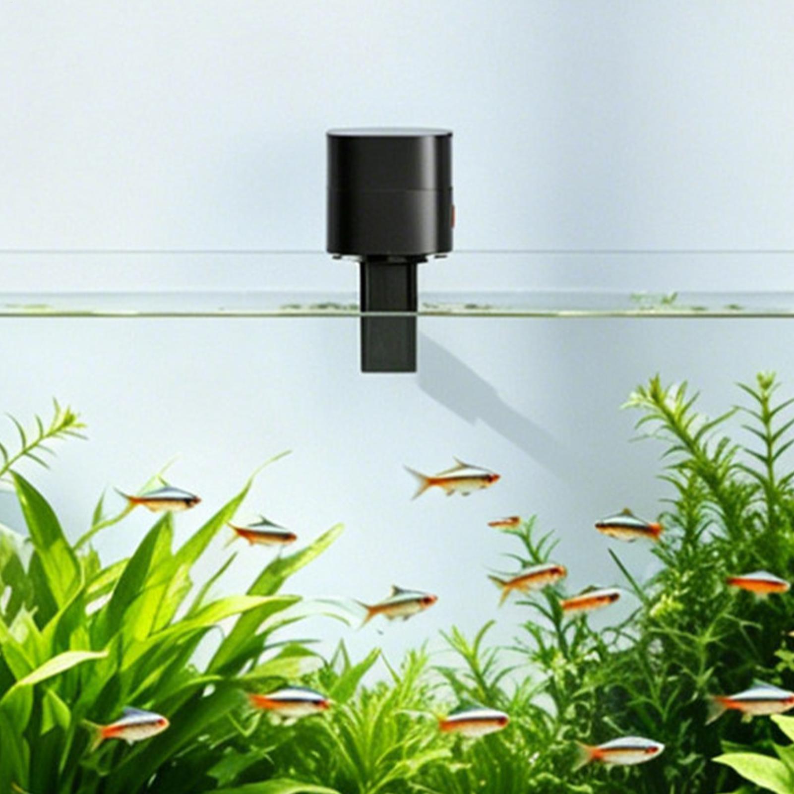 Alimentadores automáticos de p - Aquarium Fish Auto Feeder reseña y precio