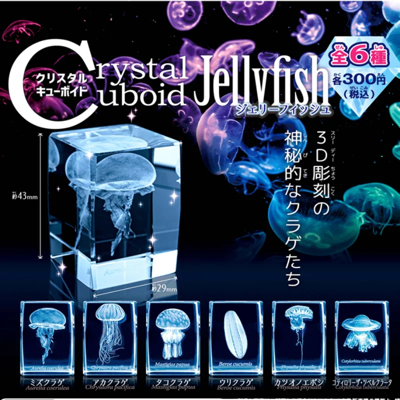 Figura de acuario de medusas G - Aquarium Fish Japan reseña y precio