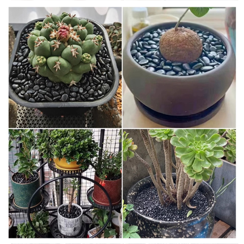 Piedras de río pulidas blancas - Fish Aquarium Home reseña y precio