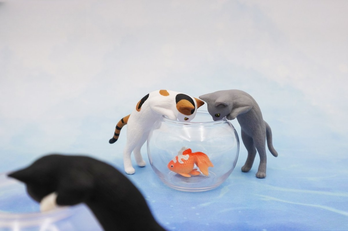 Juguetes cápsula originales li - Aquarium Fish Japan reseña y precio