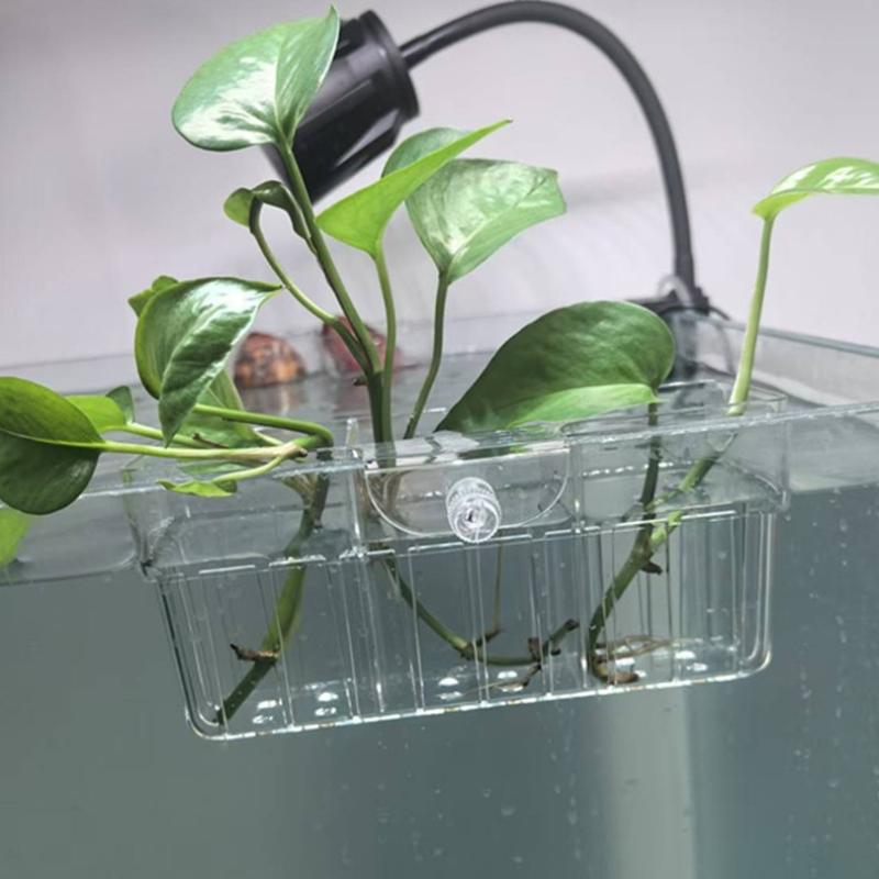 Cesta para Plantas Hidropónica - Fish Aquarium Home reseña y precio