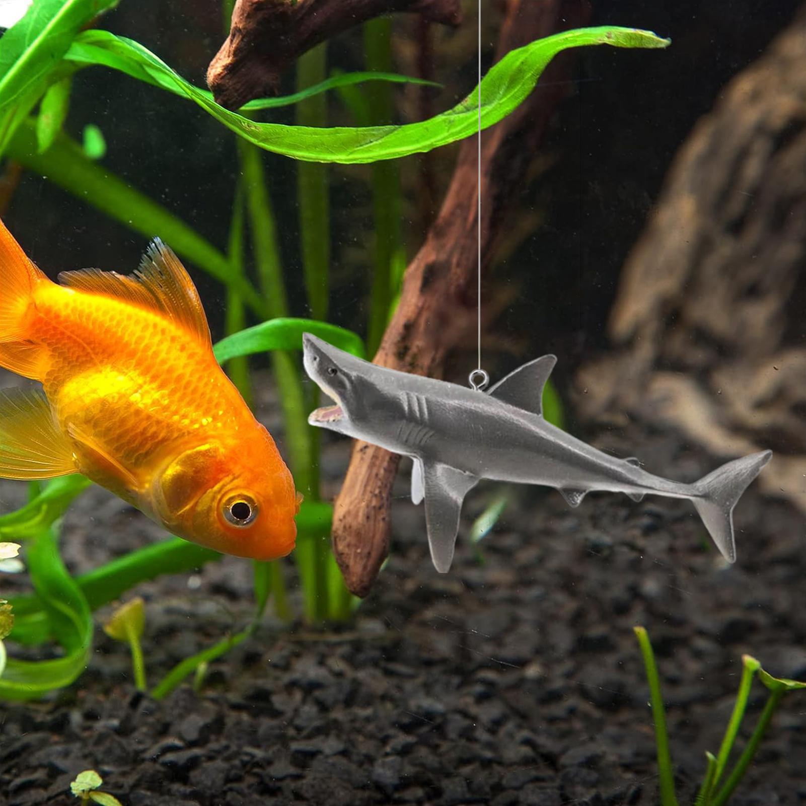 Decoración flotante de paisaje - Aquarium Fish Shark reseña y precio