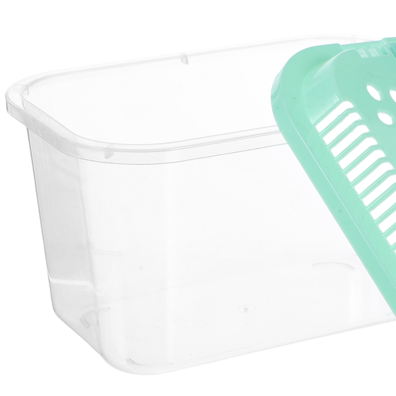 Contenedor portátil para trans - Aquarium Mini Fish reseña y precio
