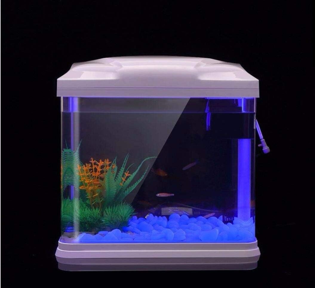Rocas para pecera, guijarros a - Fish Aquarium Home reseña y precio