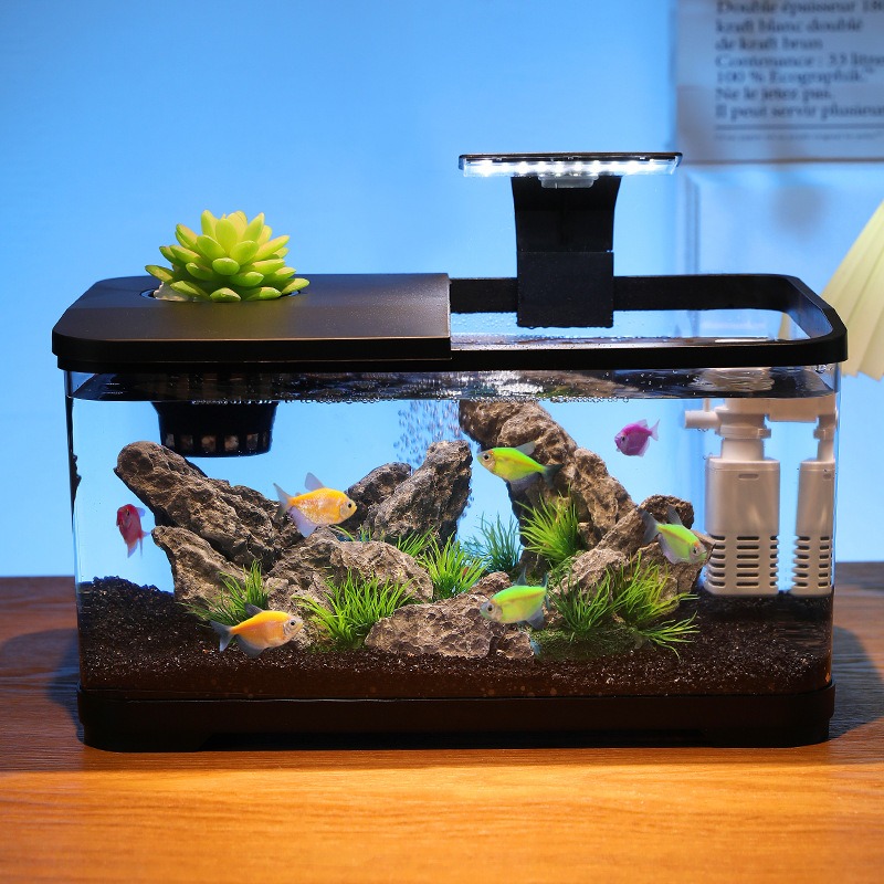 Acuario de sobremesa con filtr - Fish Aquarium Home reseña y precio