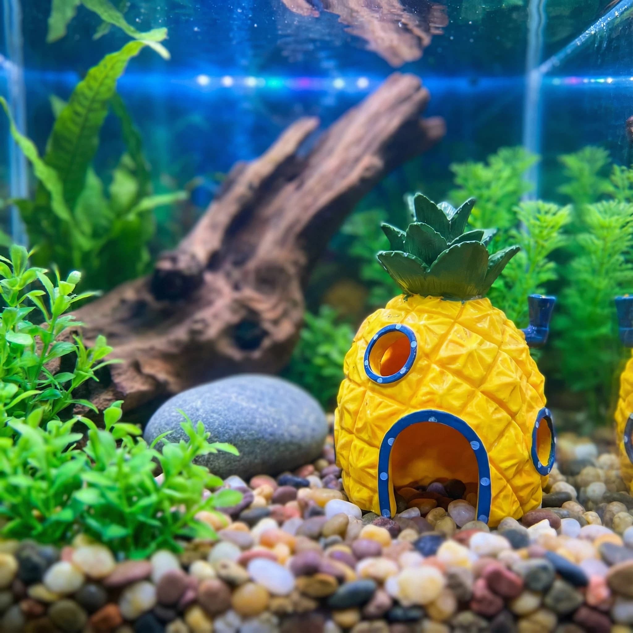 Decoración para Acuario Pineap - Aquarium Fish Cave reseña y precio