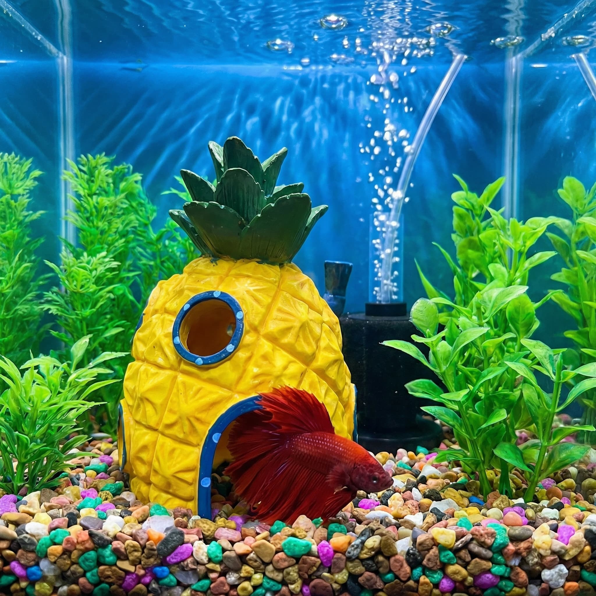 Decoración para Acuario Pineap - Aquarium Fish Cave reseña y precio
