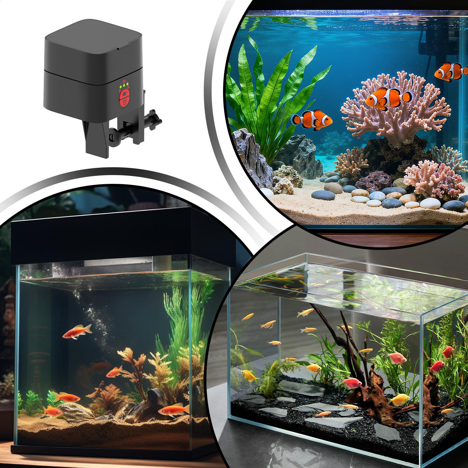 Alimentador automático de pece - Aquarium Fish Auto Feeder reseña y precio